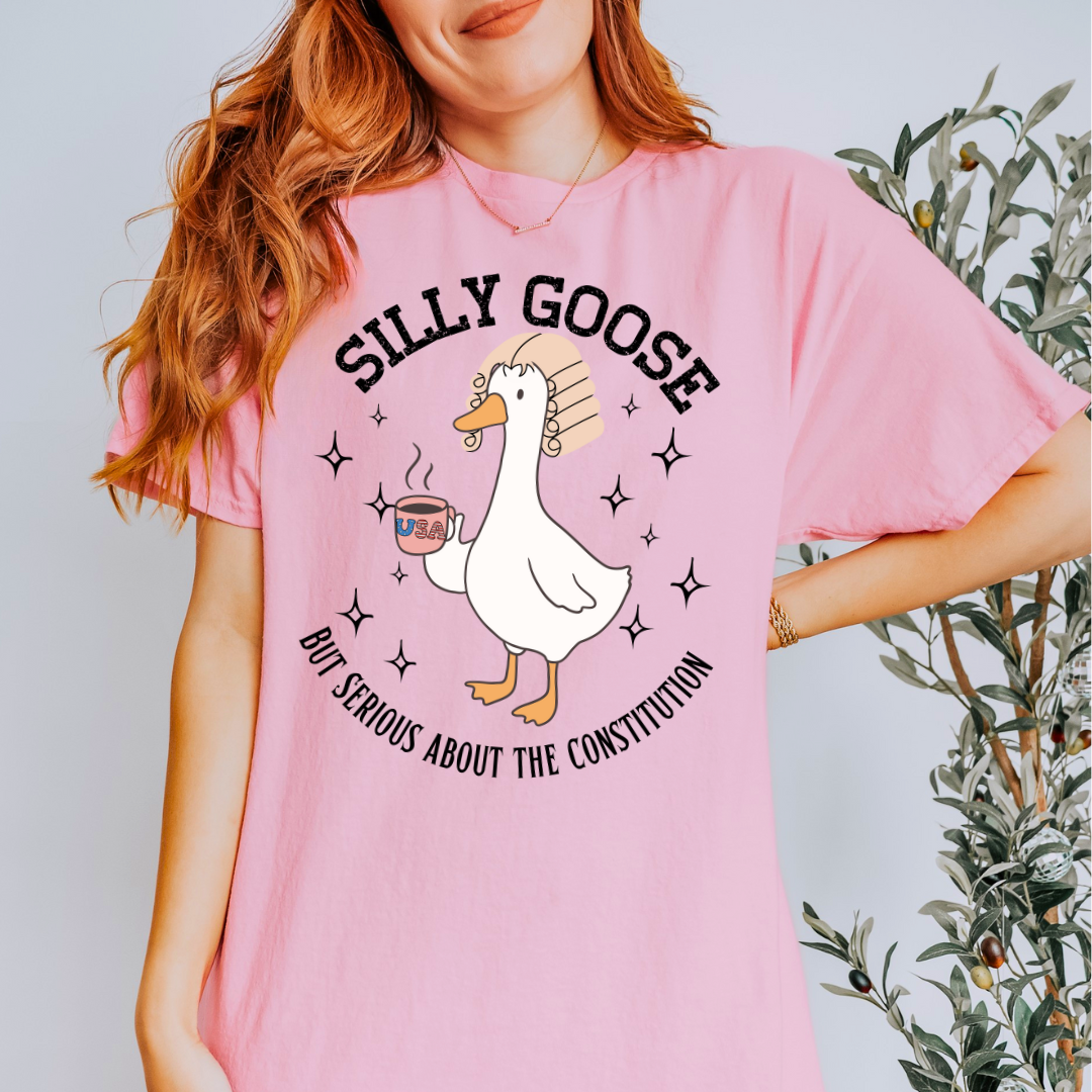 SILLY GOOSE TEE - Carry Girl Gear