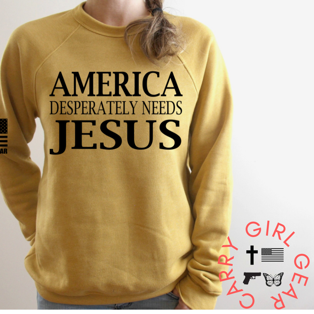 America Desperately Needs Jesus Hoodie & Sweatshirt / Mauve Xs