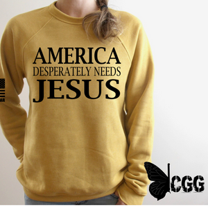 America Desperately Needs Jesus Hoodie & Sweatshirt / Mauve Xs