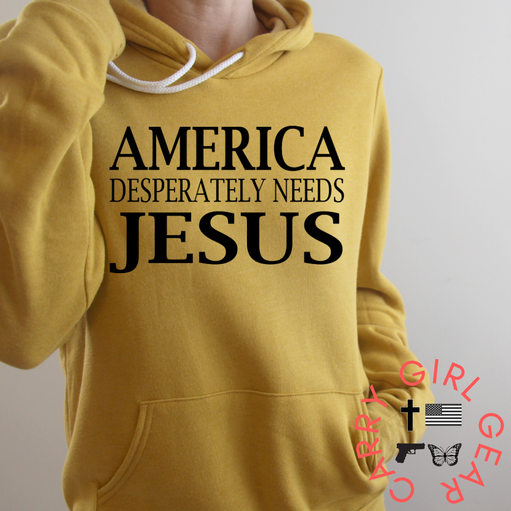 America Desperately Needs Jesus Hoodie & Sweatshirt Pullover / Mauve Xs