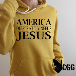 America Desperately Needs Jesus Hoodie & Sweatshirt Pullover / Mauve Xs