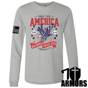 America Needs Jesus Long Sleeve Sm / Gray