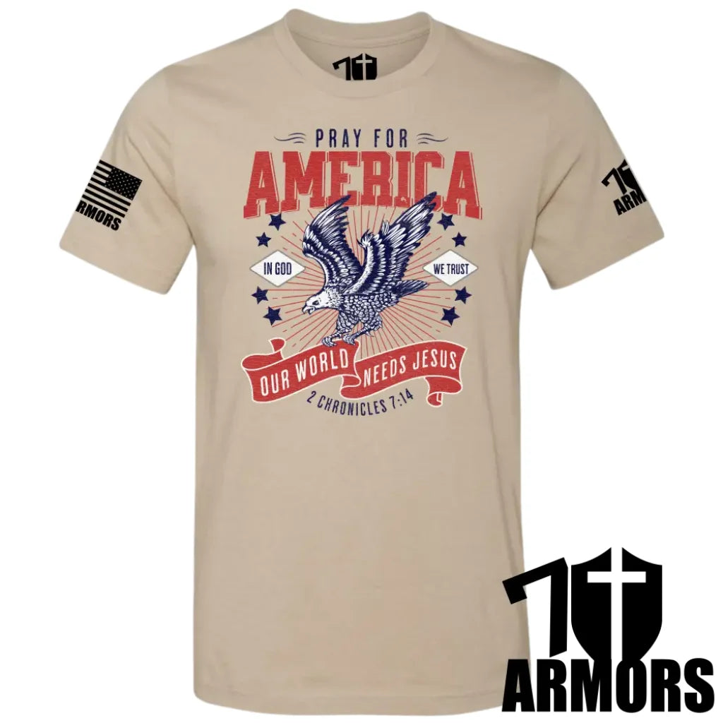 America Needs Jesus T-Shirt Sm / Fde T-Shirts