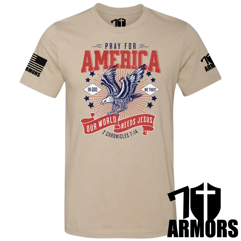 America Needs Jesus T-Shirt Sm / Fde T-Shirts