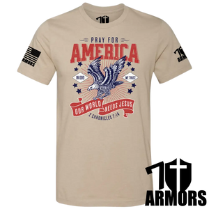 America Needs Jesus T-Shirt Sm / Fde T-Shirts