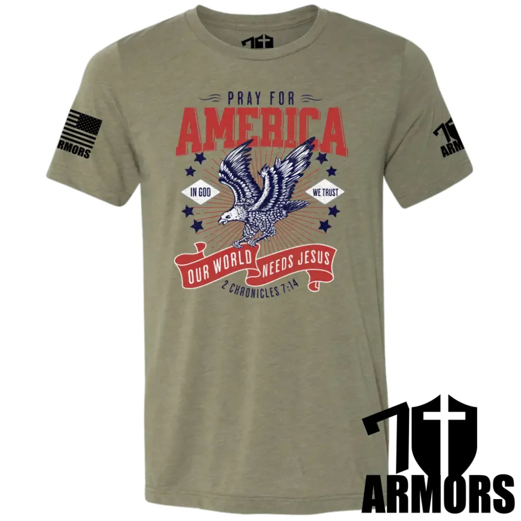 America Needs Jesus T-Shirt Sm / Odg T-Shirts