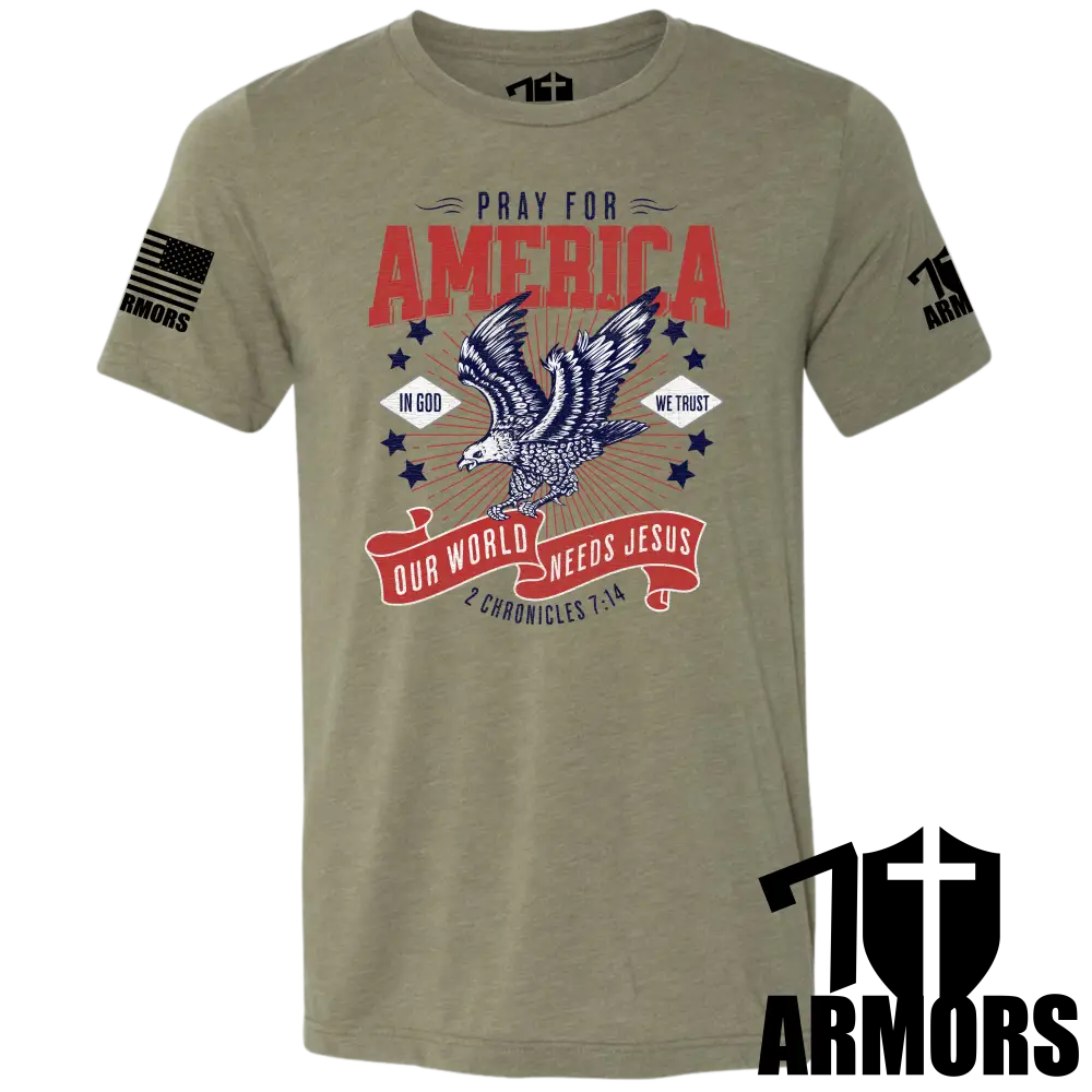 America Needs Jesus T-Shirt Sm / Fde T-Shirts