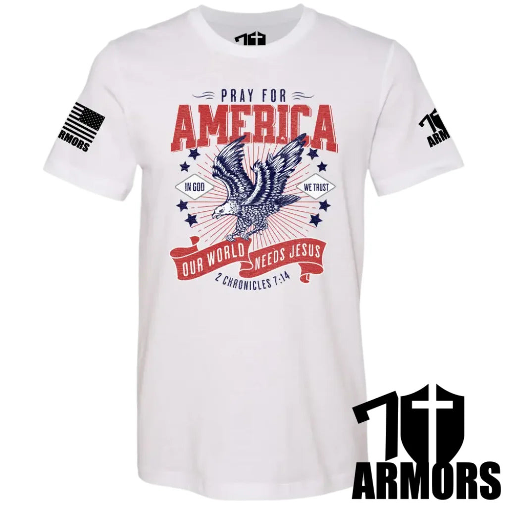 America Needs Jesus T-Shirt Sm / White T-Shirts