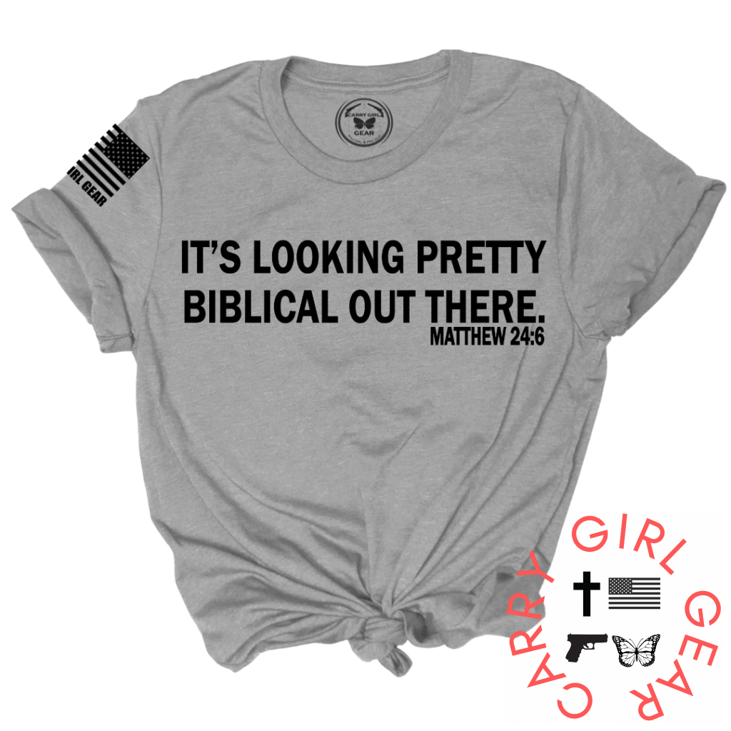 Biblical Tee Xs / Steel Unisex Cut Cgg Perfect Tee