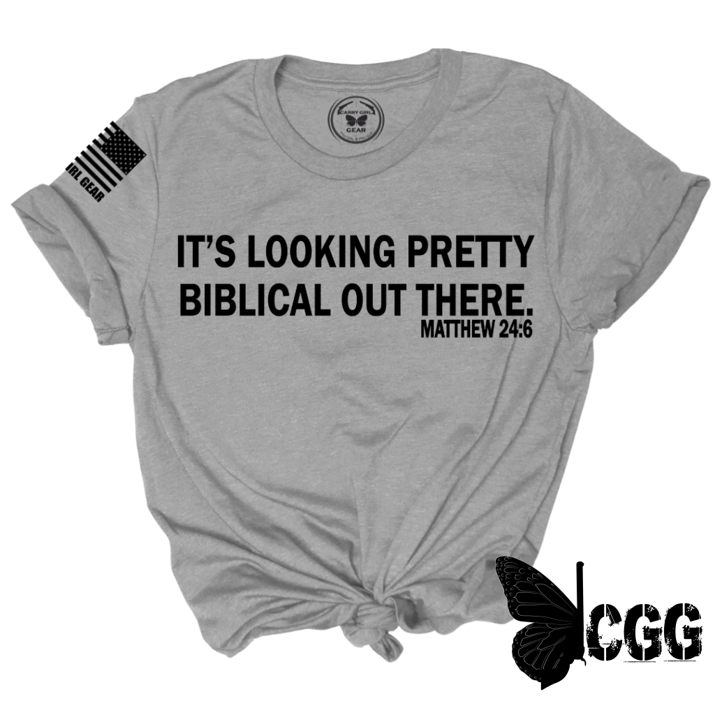 Biblical Tee Xs / Steel Unisex Cut Cgg Perfect Tee