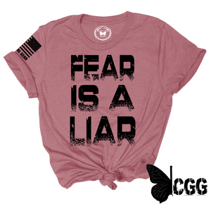 Fear Is A Liar Tee Xs / Mauve Unisex Cut Cgg Perfect Tee