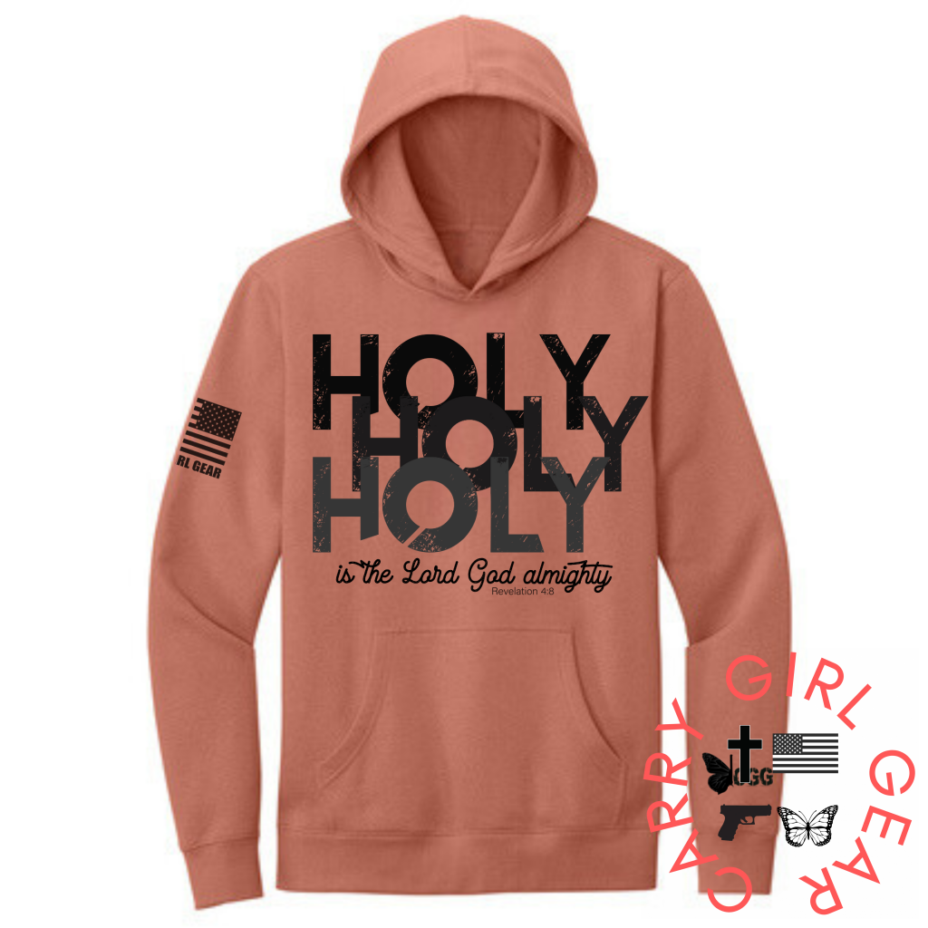 Holy Xs / Desert Hoodie