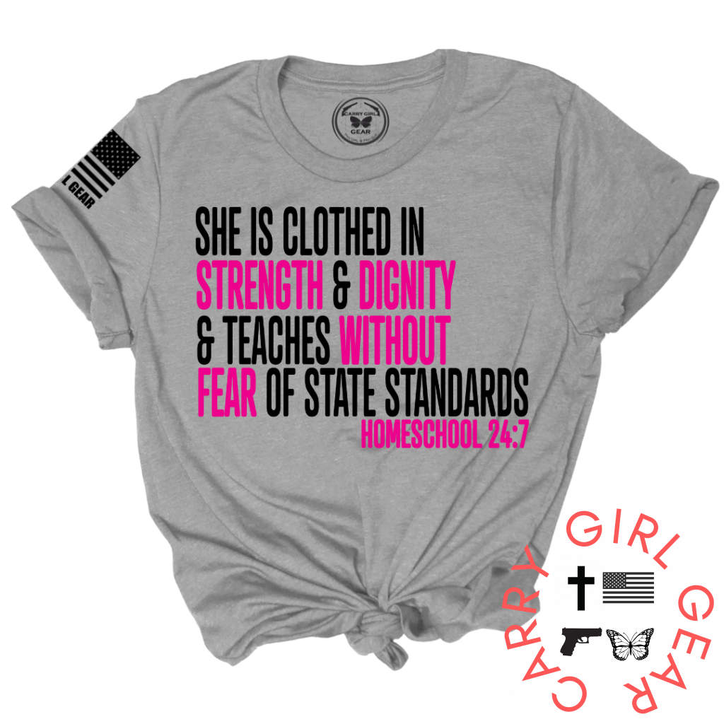 Homeschool 24:7 Tee Xs / Steel Unisex Cut Cgg Perfect Tee