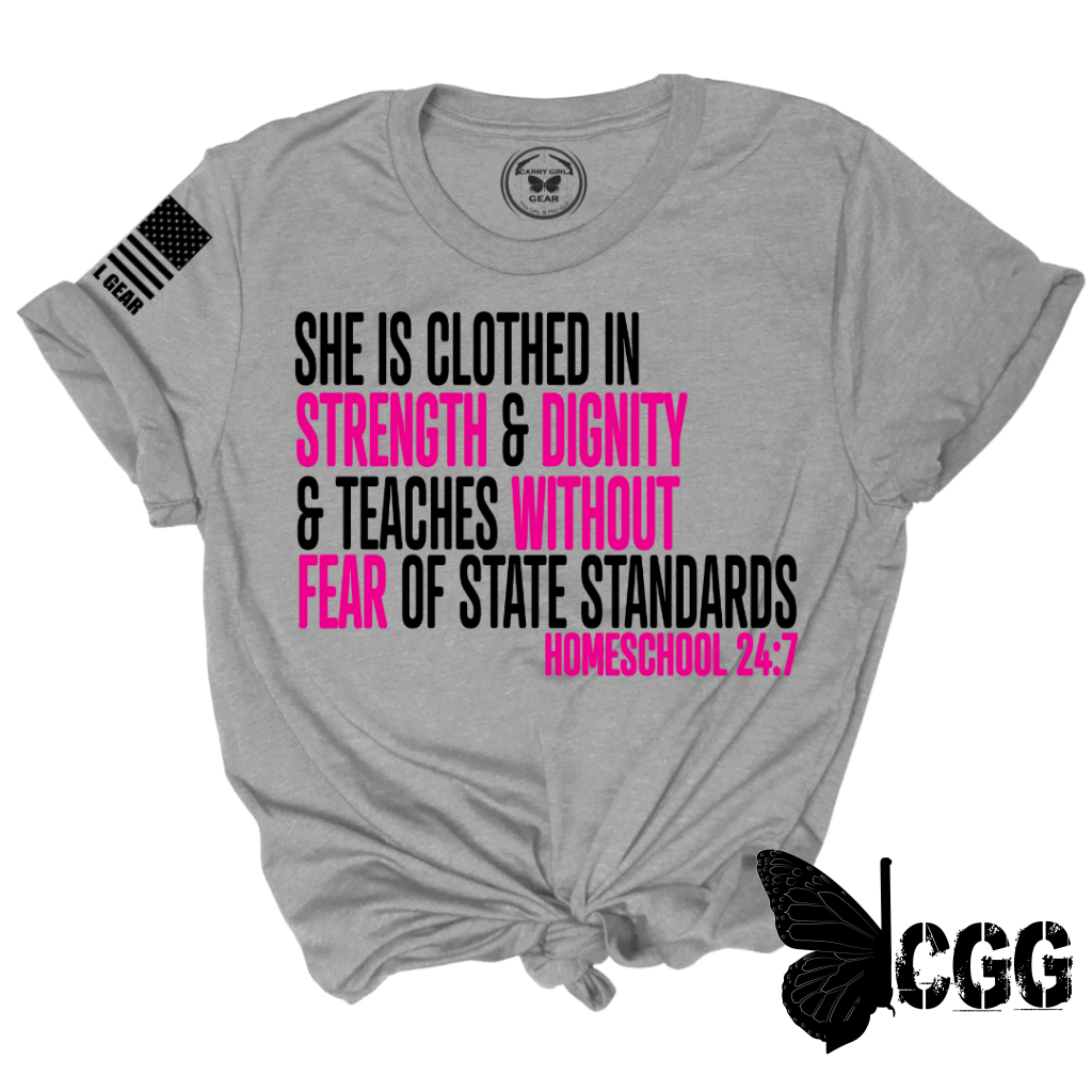 Homeschool 24:7 Tee Xs / Steel Unisex Cut Cgg Perfect Tee