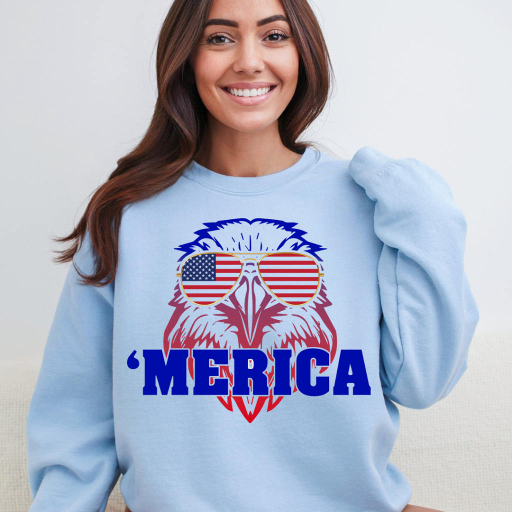 ’MERICA SWEATSHIRT SM / BLUE Sweatshirt