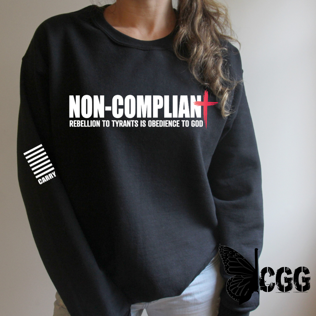 Non-Compliant Hoodie & Sweatshirt Pullover / Athletic Gray Xs