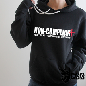 Non-Compliant Hoodie & Sweatshirt Pullover / Athletic Gray Xs