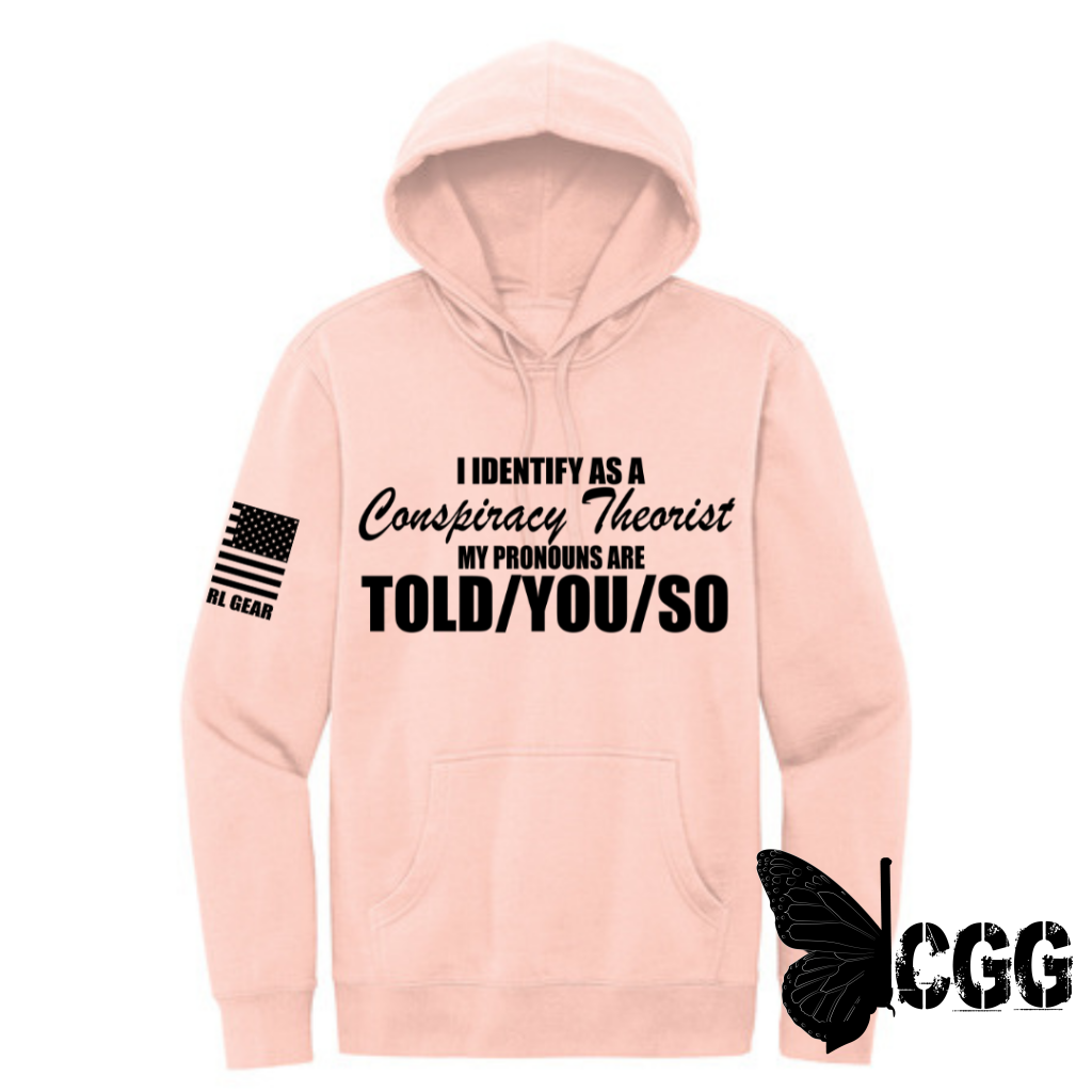 Told You So Hoodie Xs / Rose