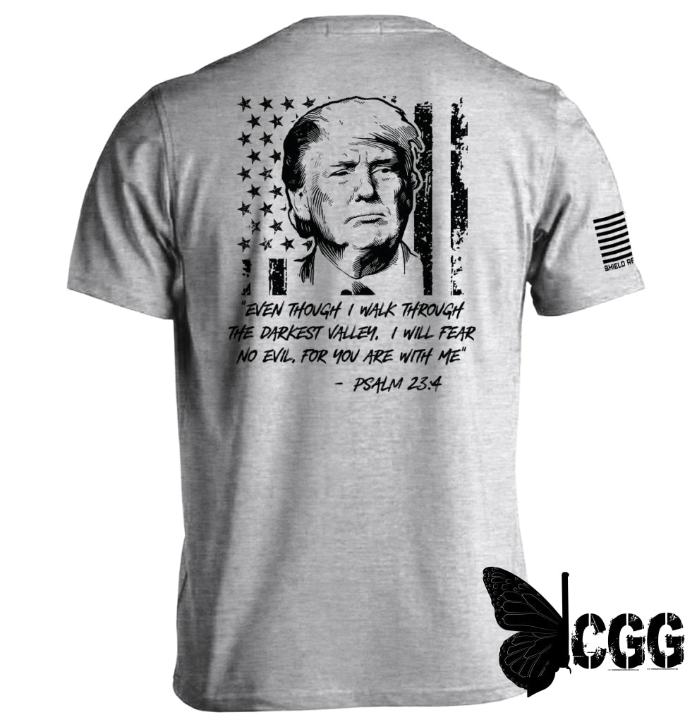 Trump Psalm 23-4 Sport Grey / S Tee Nc - Apparel