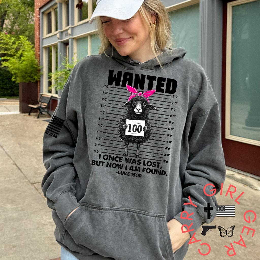 WANTED HOODIE HOODIE PULLOVER / HEATHER DARK GRAY / XS