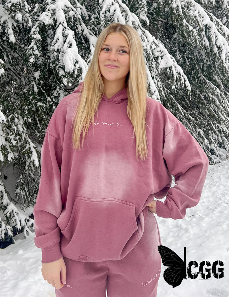 Wwjd Pink Unisex Hoodie